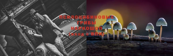соль ск Майский