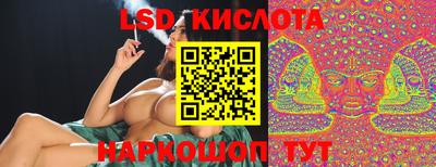 стаф Свободный