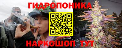 стаф Свободный