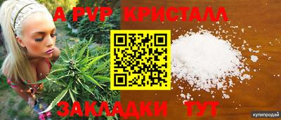 стаф Свободный