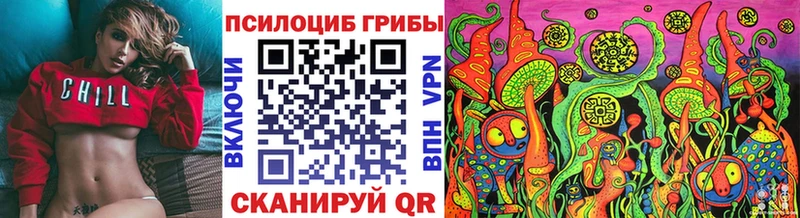 Галлюциногенные грибы Psilocybe  Рязань 